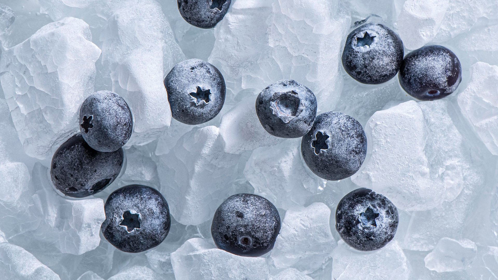 YearRound Blueberry Resources Health Professionals